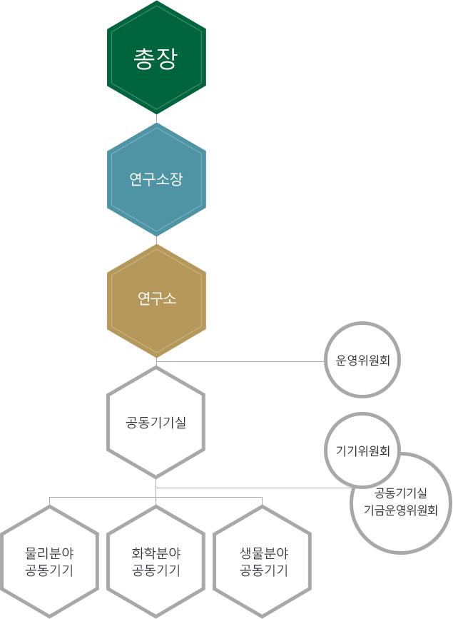 조직 및 구성