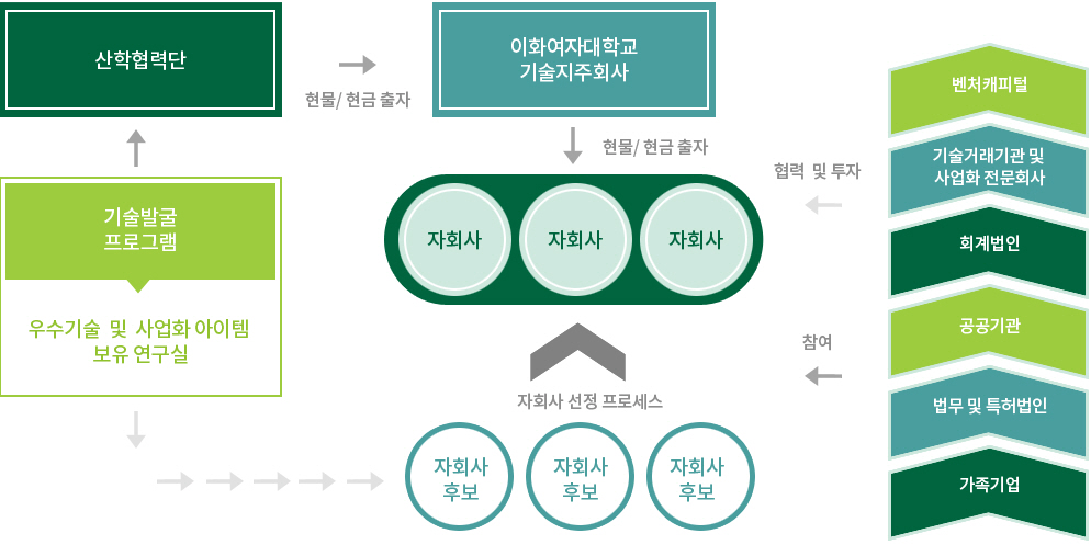 자회사 설립 절차